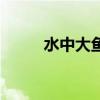 水中大鱼是虚像吗(水中有大鱼) 水中大鱼是虚像吗(水中有大鱼)