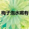 梅子泡水喝有什么好处（腊梅可以泡水喝吗）