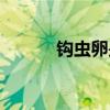 钩虫卵是怎么感染的（钩虫卵）