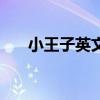小王子英文版读后感（小王子英文版）