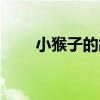 小猴子的故事视频（小猴子的故事）