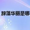 辞藻华丽是哪个朝代（辞藻华丽是什么意思）
