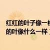 红红的叶子像一枚枚邮票飘啊飘啊邮来了秋天的凉爽(红红的叶像什么一样) 红红的叶子像一枚枚邮票飘啊飘啊邮来了秋天的凉爽(红红的叶像什么一样)
