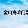 金山海滩门票多少钱一张（金山海滩门票）