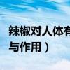 辣椒对人体有什么好处和坏处（辣椒素的功效与作用）