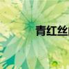 青红丝的功效与作用（青红丝）