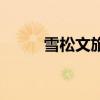 雪松文旅集团董事长（雪松文旅）