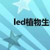 led植物生长灯原理（led植物生长灯）