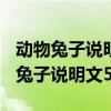 动物兔子说明文500字左右作文怎么写（动物兔子说明文500字）