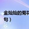 金灿灿的菊花像什么比喻句（菊花像什么比喻句）