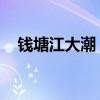 钱塘江大潮 广告语（钱塘江大潮广告词）