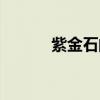 紫金石的作用与功效（紫金石）