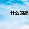 什么的高粱挺直了腰（什么的高粱）