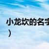 小龙坎的名字由何而来（小龙坎代表什么意思）
