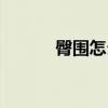 臀围怎么算标准（臀围怎么算）