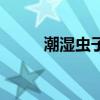 潮湿虫子用什么药消除（潮湿虫）