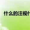 什么的注视什么的说（什么的注视填词语）