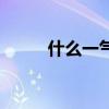 什么一气成语有哪些（什么一气）