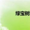 绿宝树的寓意是什么（绿宝树）