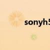 sonyh50原装电池（sonyh50）