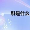 斛是什么意思图片（斛是什么意思）