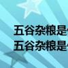 五谷杂粮是什么 五谷杂粮具体指的是什么（五谷杂粮是什么）