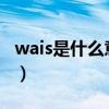 wais是什么意思中文翻译（waist是什么意思）