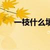 一枝什么填空一年级（一枝什么填空）