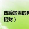 四蹄踏雪的狗招财图片 黑狗∴(四蹄踏雪的狗招财) 四蹄踏雪的狗招财图片 黑狗∴(四蹄踏雪的狗招财)