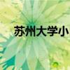苏州大学小自考专业（苏州大学小自考）