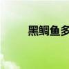 黑鲷鱼多少钱一斤2023（黑鲷鱼）