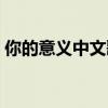 你的意义中文歌词翻译(你的意义音译歌词) 你的意义中文歌词翻译(你的意义音译歌词)