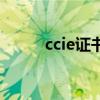 ccie证书多少钱考完（ccie证书）