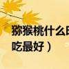 猕猴桃什么时候吃最好吃?（猕猴桃什么时候吃最好）