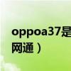 oppoa37是几g网络（oppoa37m是不是全网通）