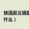 快活反义词是什么词语是什么（快活反义词是什么）