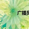 广播员的播音技巧（广播员）
