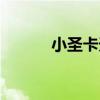 小圣卡天圣卡哪个好（小圣卡）