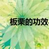 板栗的功效与作用（板栗吃多了会怎样）