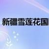 新疆雪莲花国际旅行社有限公司（新疆雪莲）