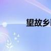望故乡歌词康康（望故乡歌词）