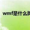wmf是什么牌子怎么读（wmf是什么牌子）