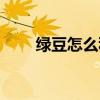绿豆怎么种发芽最快（绿豆怎么种）