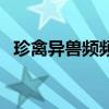 珍禽异兽频频现身（珍禽异兽是哪些动物）