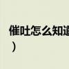 催吐怎么知道吐完没（催吐怎么知道吐干净了）