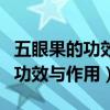 五眼果的功效与作用及食用方法茶（五眼果的功效与作用）