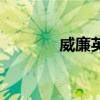 威廉英文怎么写（威廉英文）