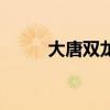 大唐双龙传演员表（大唐双龙记）