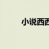 小说西西里岛（情义之西西里岛）