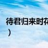 待君归来时花开城南外什么意思（待君归来时）